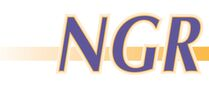 NGR Nutzfahrzeuge Gebr Ruhrig GmbH